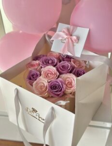 Box Clásico Bicolor