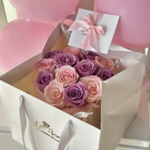 Box Clásico Bicolor