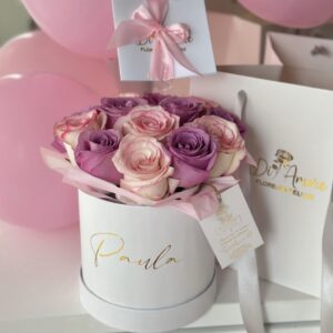 Box Clásico Bicolor