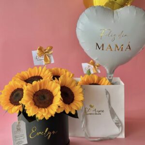 Box Radiante + 02 globos