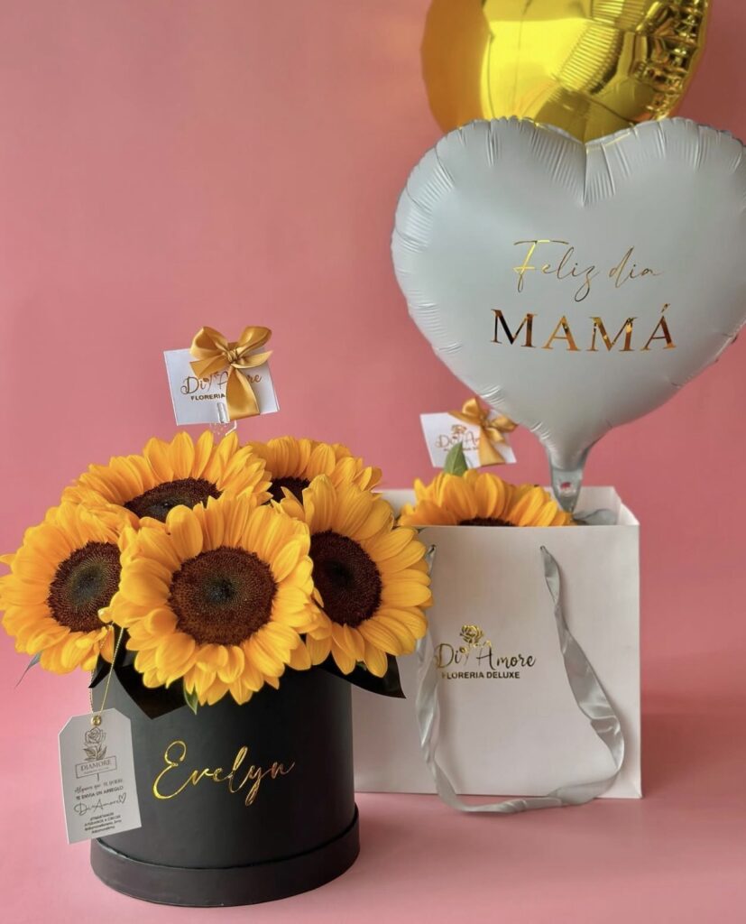 Box Radiante + 02 globos