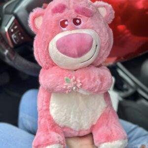 Lotso de 35cm