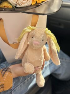 Peluche Conejita