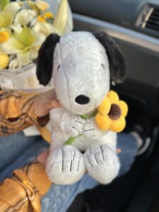 Snoopy + girasol
